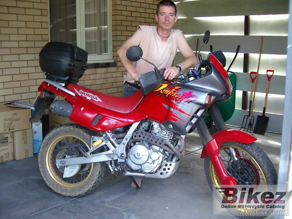 Big nymous user. nx 650 dominator picture and wallpaper from Bikez.com